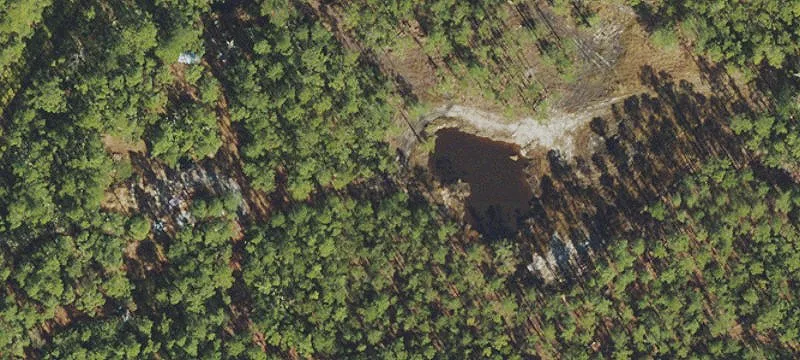 1000 Wild Pine Rd