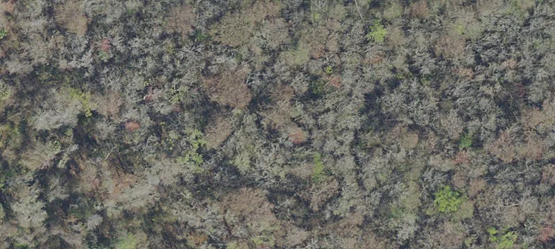 190 County Road 207A