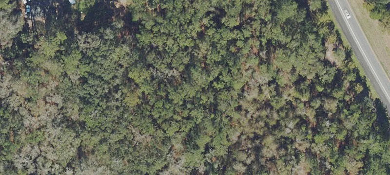 Micanopy, FL 32667