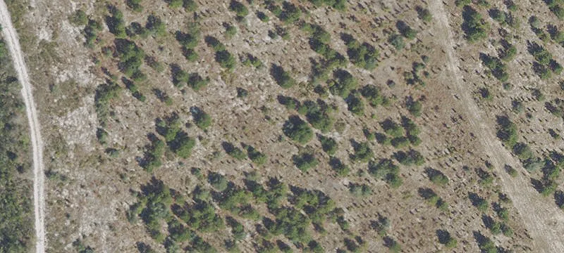 10000 Hwy 388
