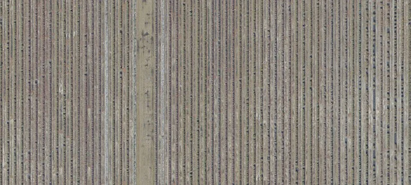 14909 County Rd 1471