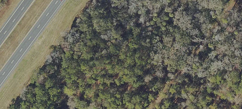 18791 Hwy 19
