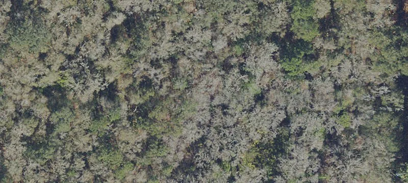 Micanopy, FL 32667