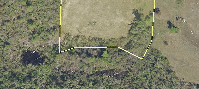 11709 Hwy 231