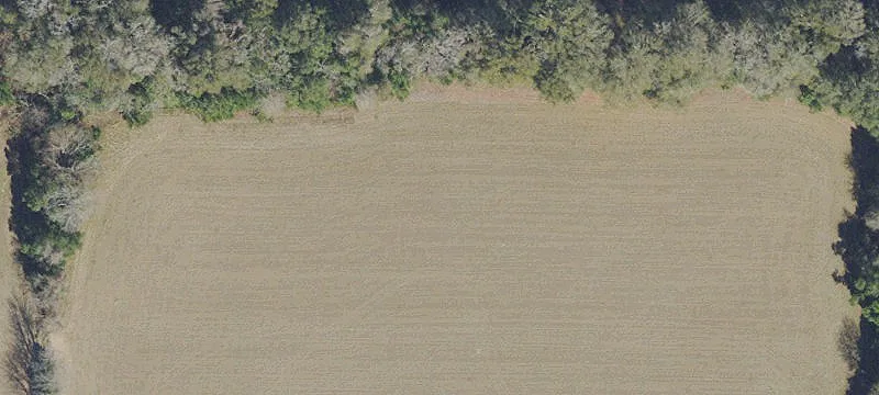 Brooker, FL 32622