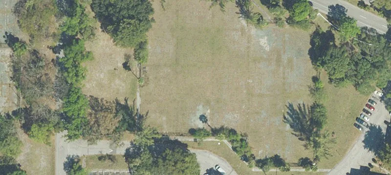 3366 Spanish Moss Ter