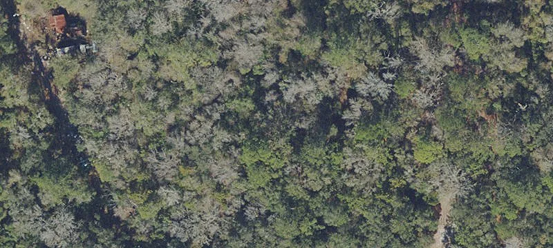 Gainesville, FL 32641