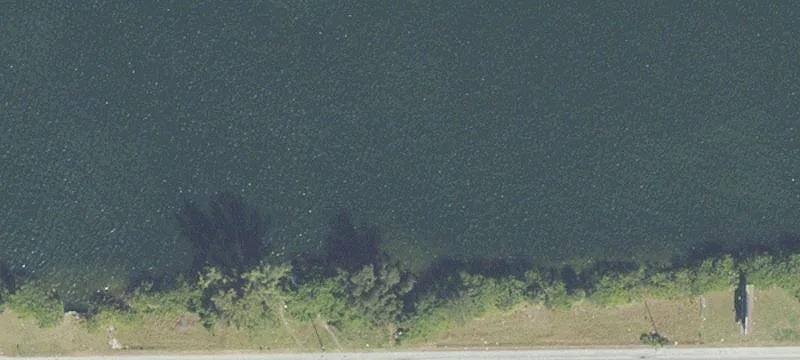 1101 Sample Rd