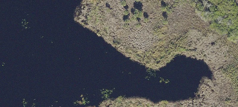 2368 Mullet Lk Park Rd