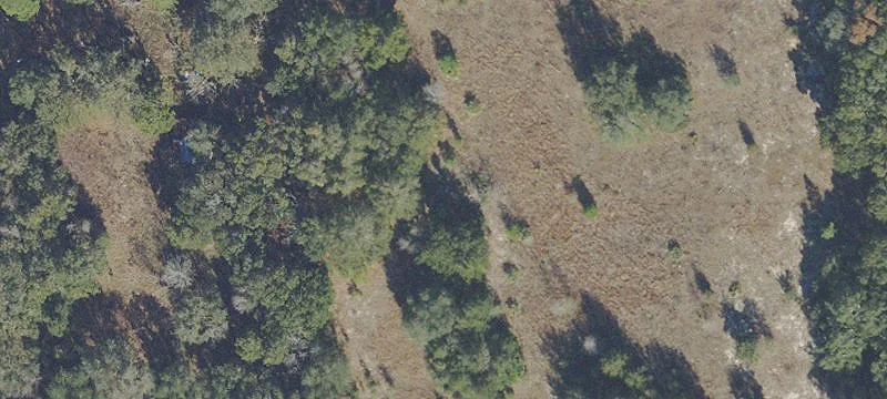451 Rolling Acres Rd