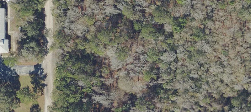 Micanopy, FL 32667