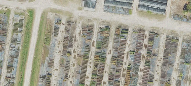12493 Us Hwy 90