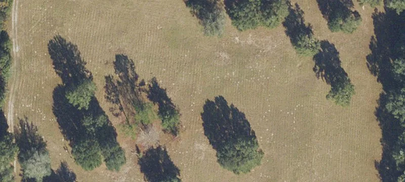 Archer, FL 32618