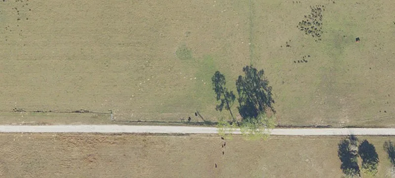 14801 State Rd 45
