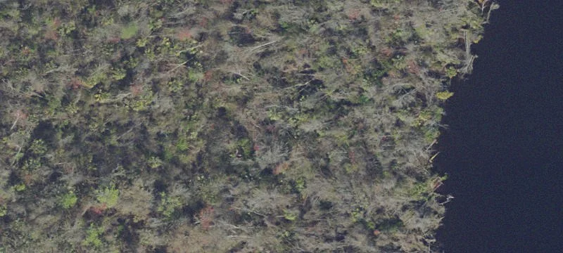 Palatka, FL 32177