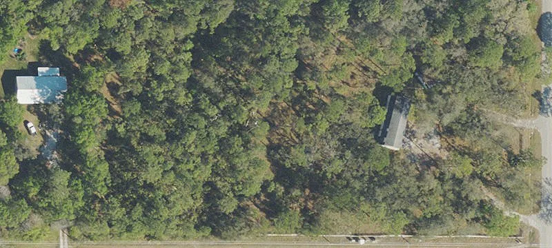 Loblolly Bay Rd