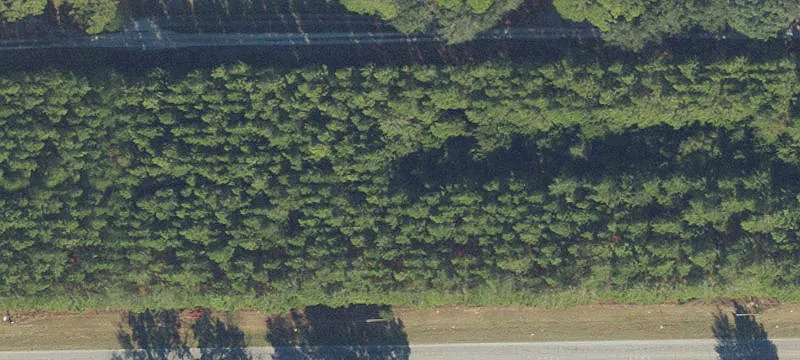 7818 State Rd 45