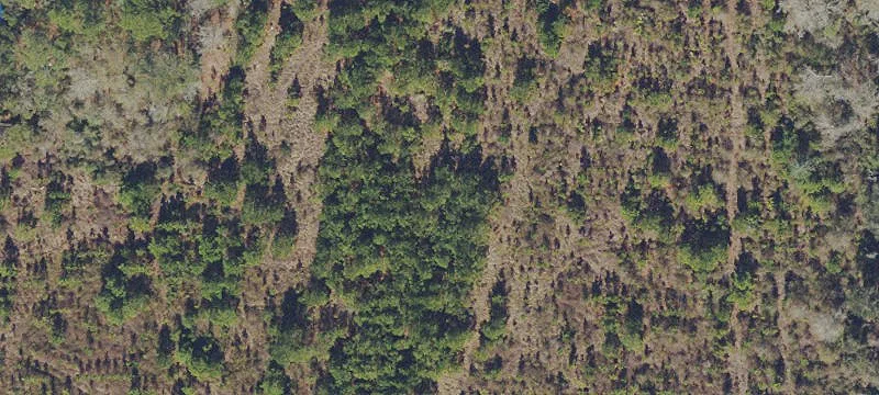 Gainesville, FL 32609