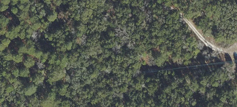 Hudson, FL 34669