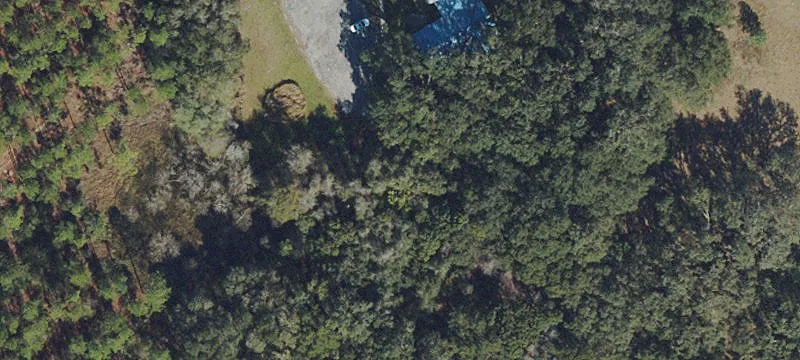 31722 County Rd 52