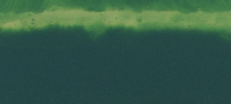 Naples, FL 34120