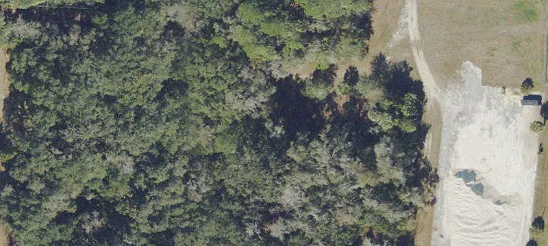 Micanopy, FL 32667