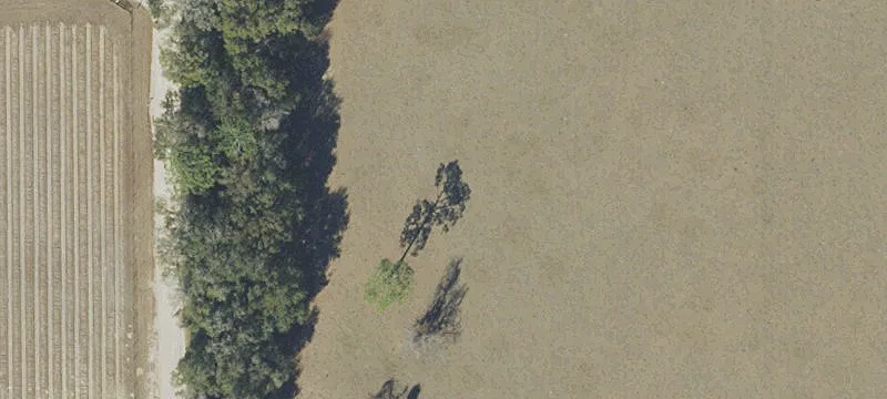 Archer, FL 32618
