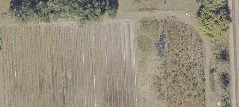 Hawthorne, FL 32640