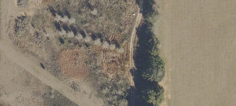 Ocala, FL 34482