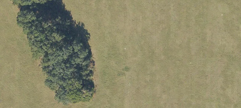 Newberry, FL 32669