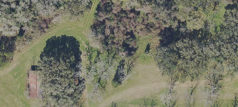 Waldo, FL 32694