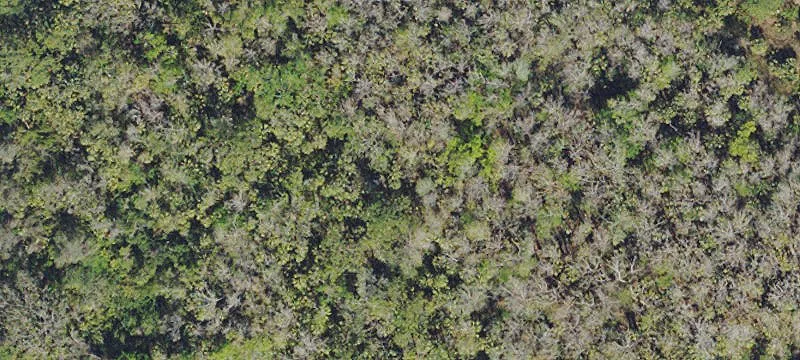 Alva, FL 33920