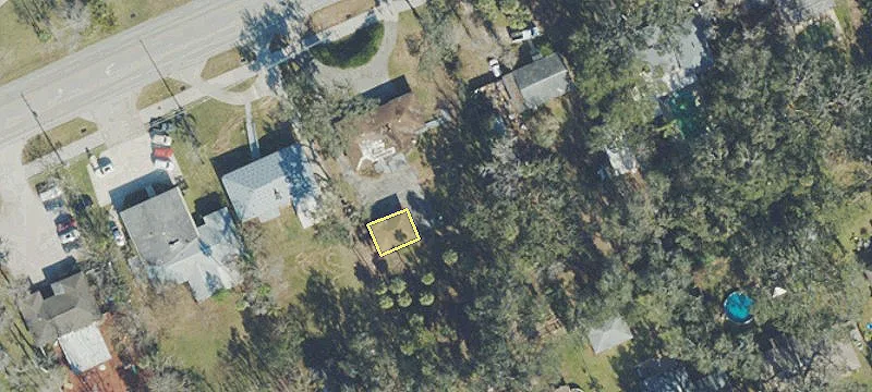 813 Big Tree Rd