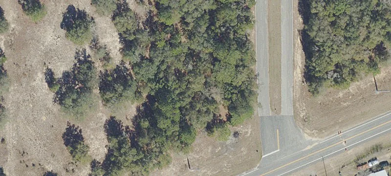 1538 State Rd 20