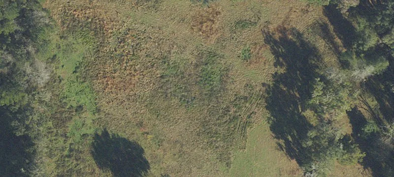 14021 Us Hwy 441