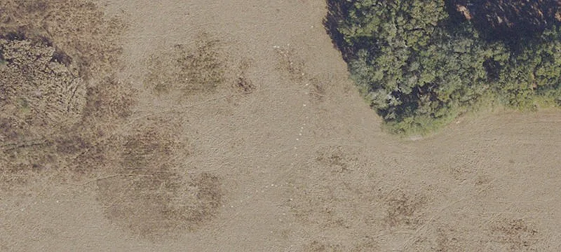 Archer, FL 32618