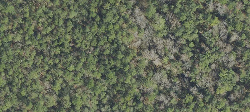 9 Mile Rd