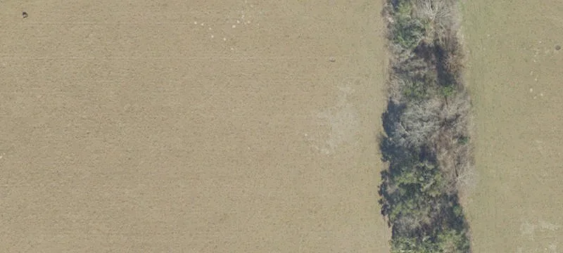 Newberry, FL 32669