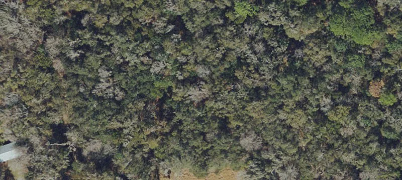 Pilots Path