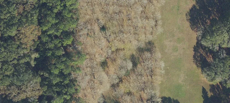 20814 County Rd 2054