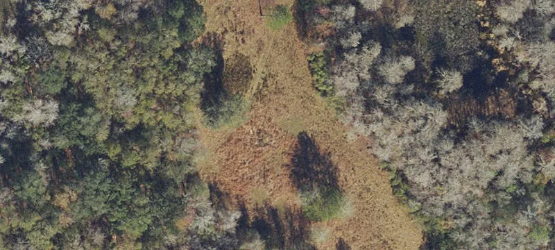 2280 Bailey Grade Rd