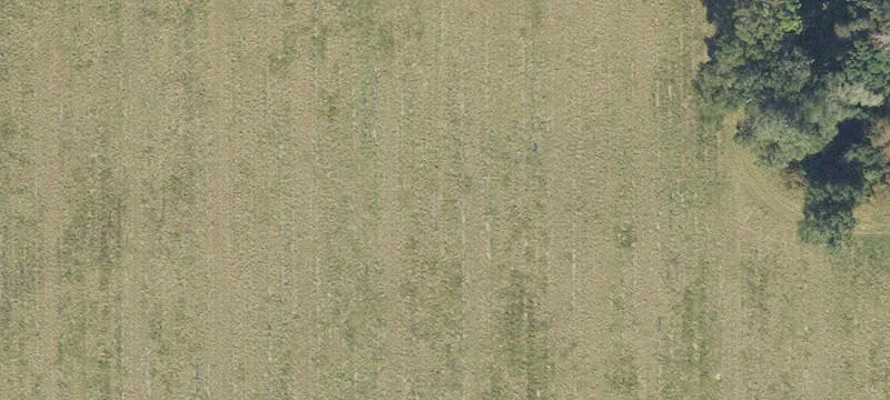 Newberry, FL 32669