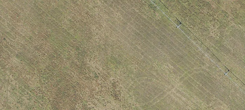 Newberry, FL 32669