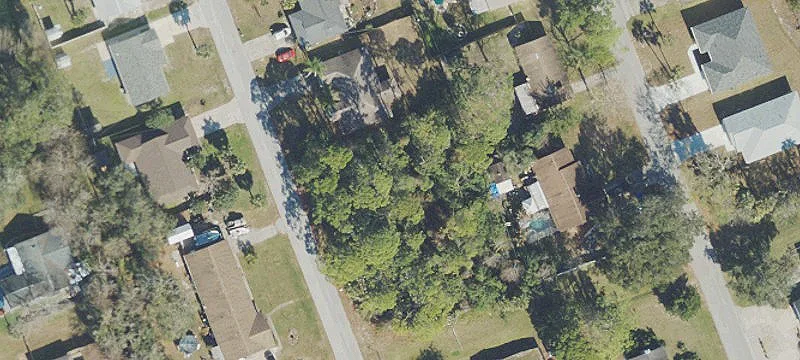 1927 Travelers Palm Dr