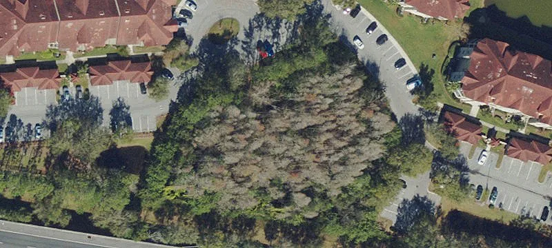 Lutz, FL 33558