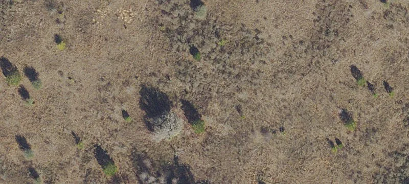 Alachua, FL 32615