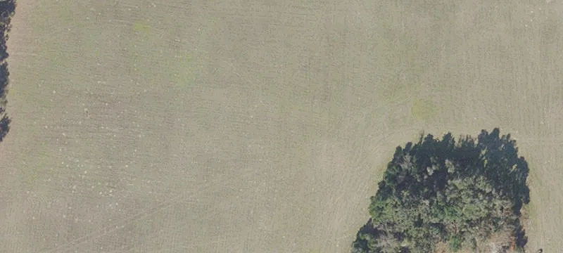 Anthony, FL 32617