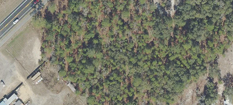 7049 State Rd 21