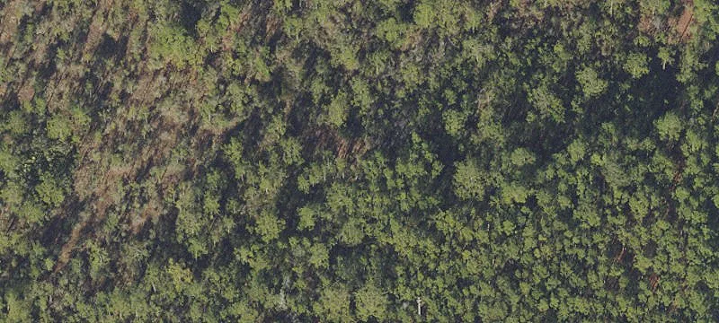 135 Old Blue Mtn Rd