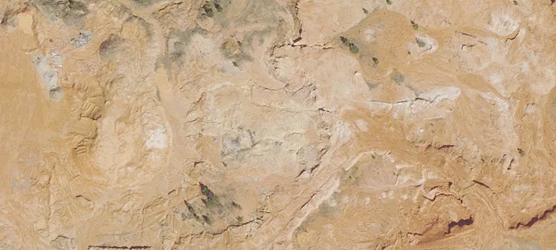 628 Moonseed Ln